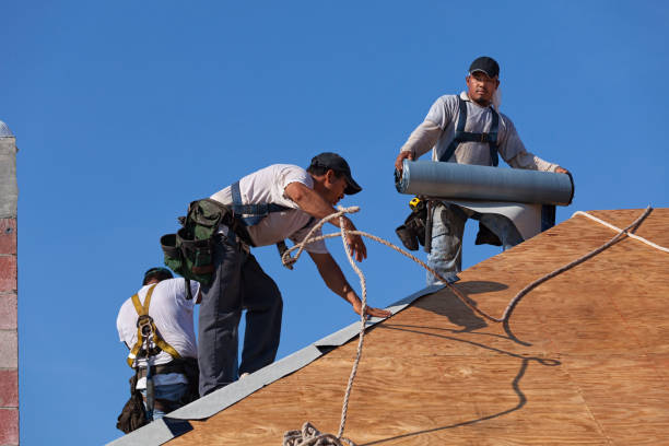 Best Metal Roofing Contractor  in Oxford, KS